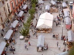 Mula Antigua serie-2